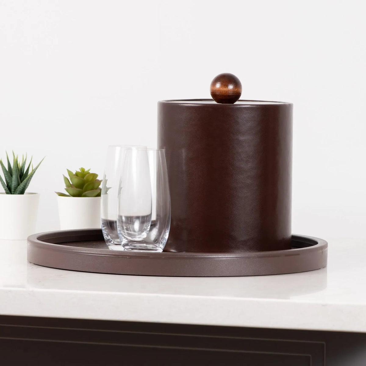 Pictured: Counter holding 2 potted plants and a leatherette tray. On the brown tray are two glasses and a round ice bucket.