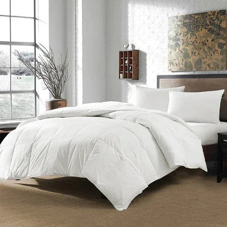 Blankets & Comforters