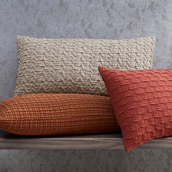 Decorative Pillows