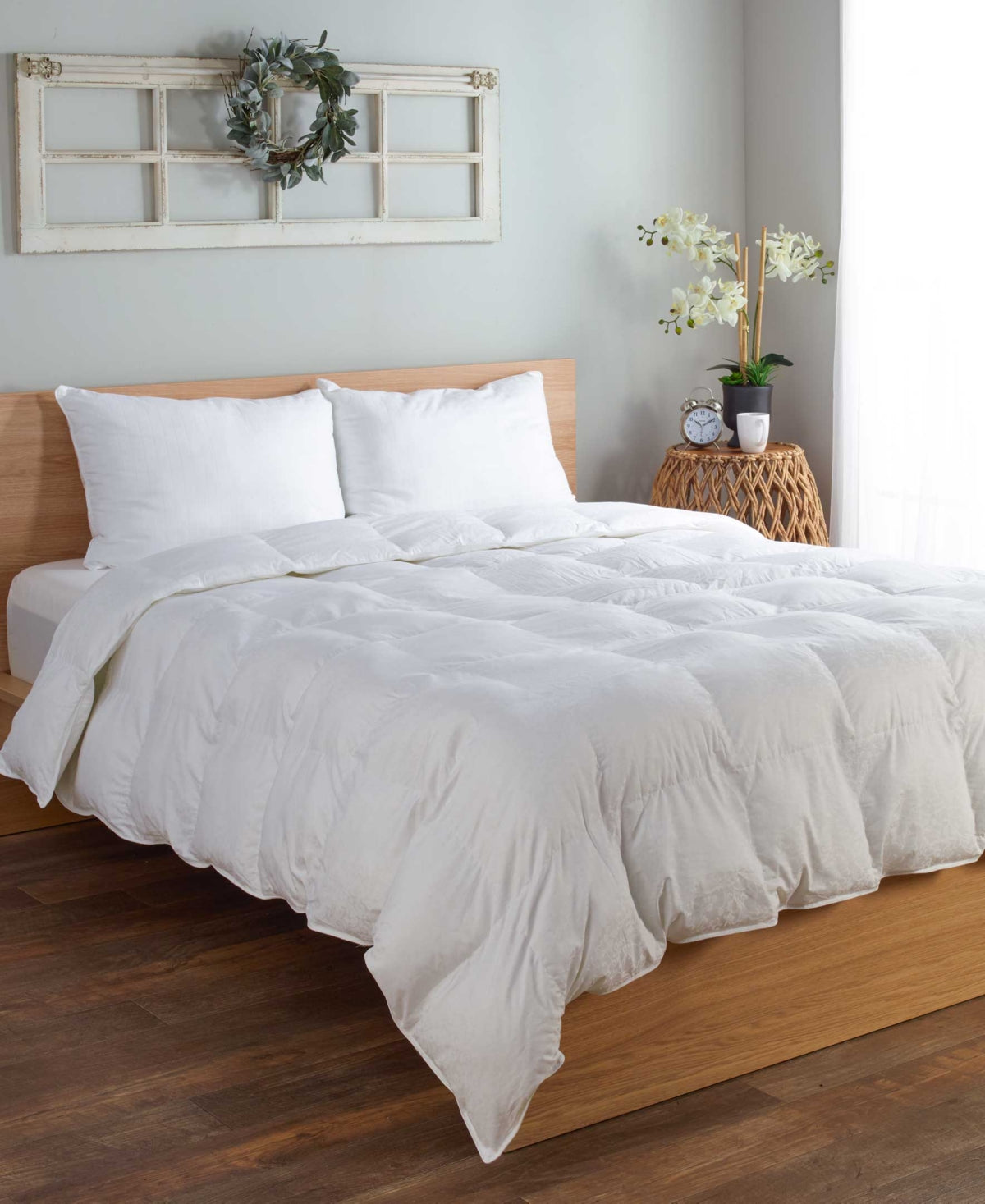 Beyond Down Comforter by Carpenter Co