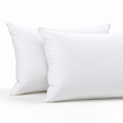 Pictured: Two Featherfull Pillows Standing Upright together against a white background.