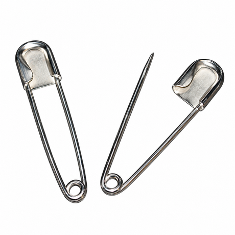 Pictured: Two silver Laundry Bag Pins against a white background.
